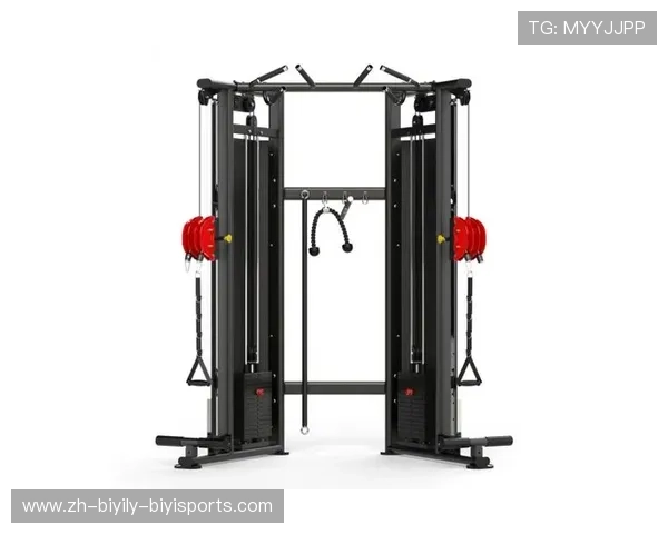 飞鸟健身器材系列标题生成如下：