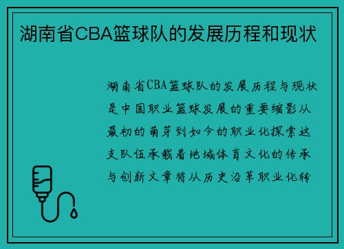 湖南省CBA篮球队的发展历程和现状